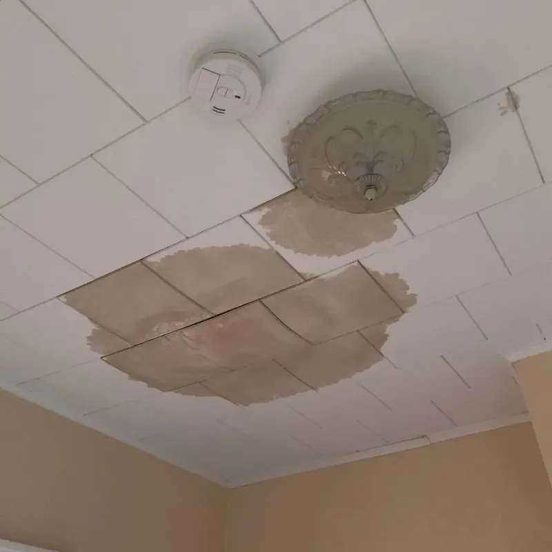 Ceiling Water Damage Repair in Watertown, MN